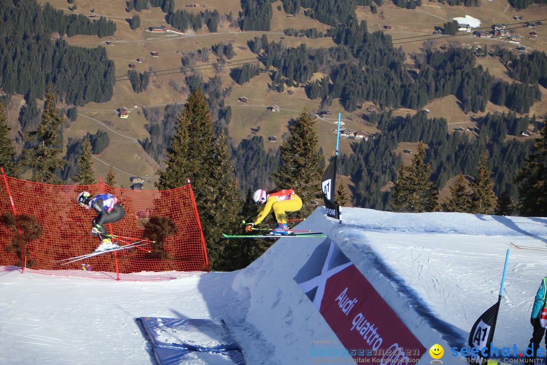 Finale Audi FIS Ski Cross Weltcup, Cross Alps Tour: Montafon, 17.12.2016