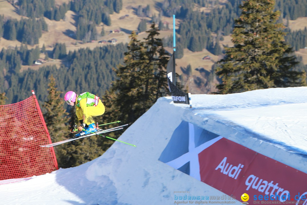 Finale Audi FIS Ski Cross Weltcup, Cross Alps Tour: Montafon, 17.12.2016