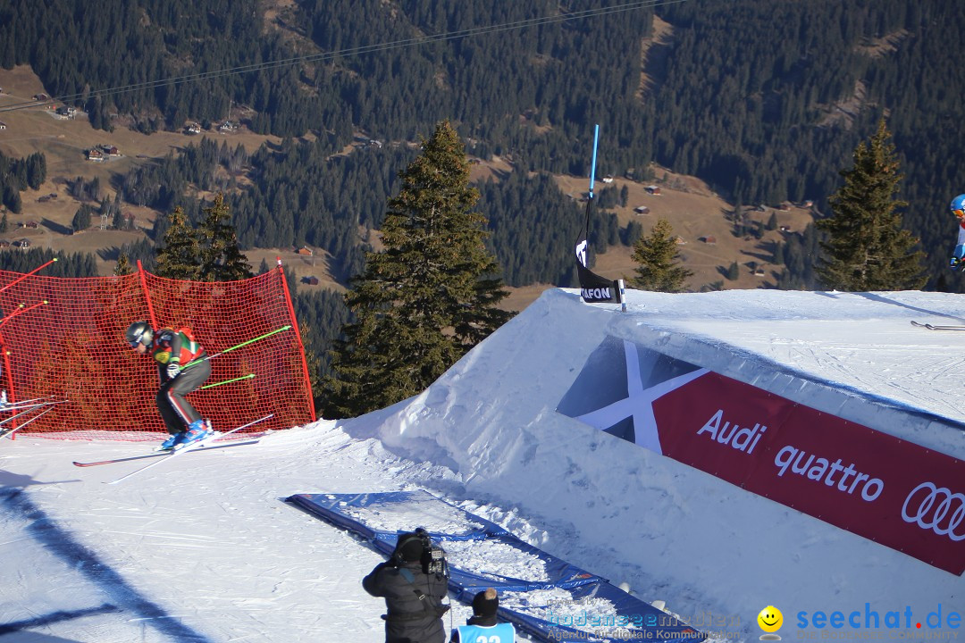 Finale Audi FIS Ski Cross Weltcup, Cross Alps Tour: Montafon, 17.12.2016