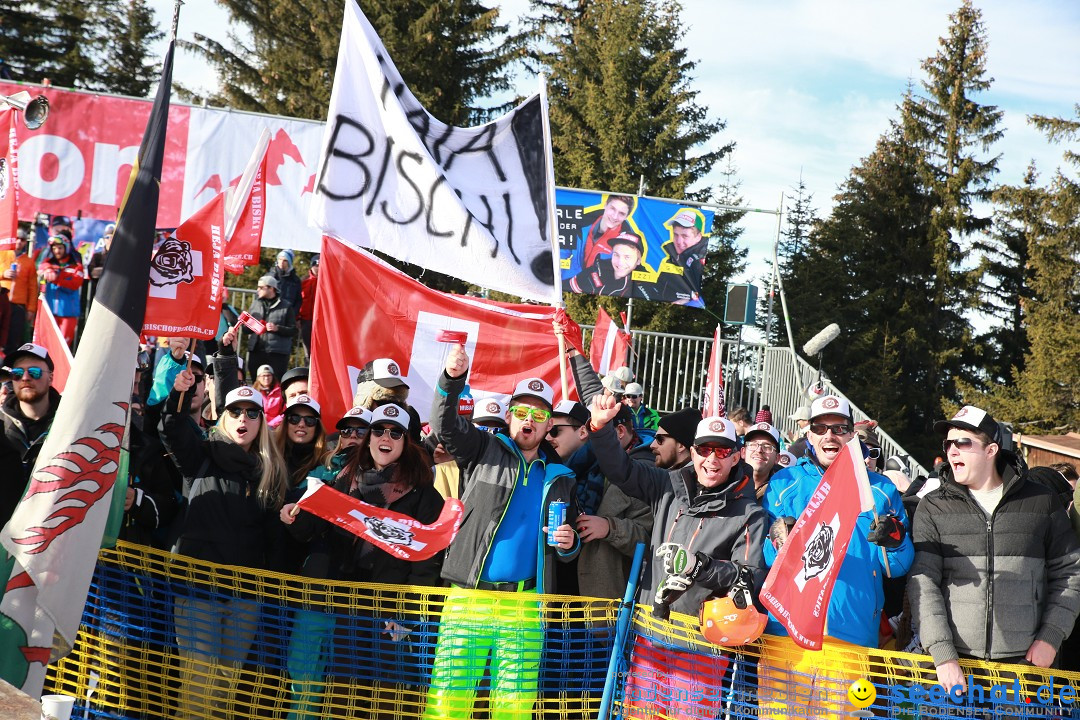 Finale Audi FIS Ski Cross Weltcup, Cross Alps Tour: Montafon, 17.12.2016