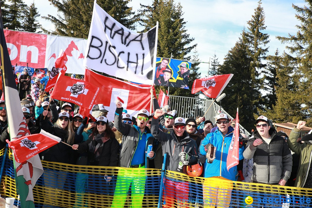 Finale Audi FIS Ski Cross Weltcup, Cross Alps Tour: Montafon, 17.12.2016