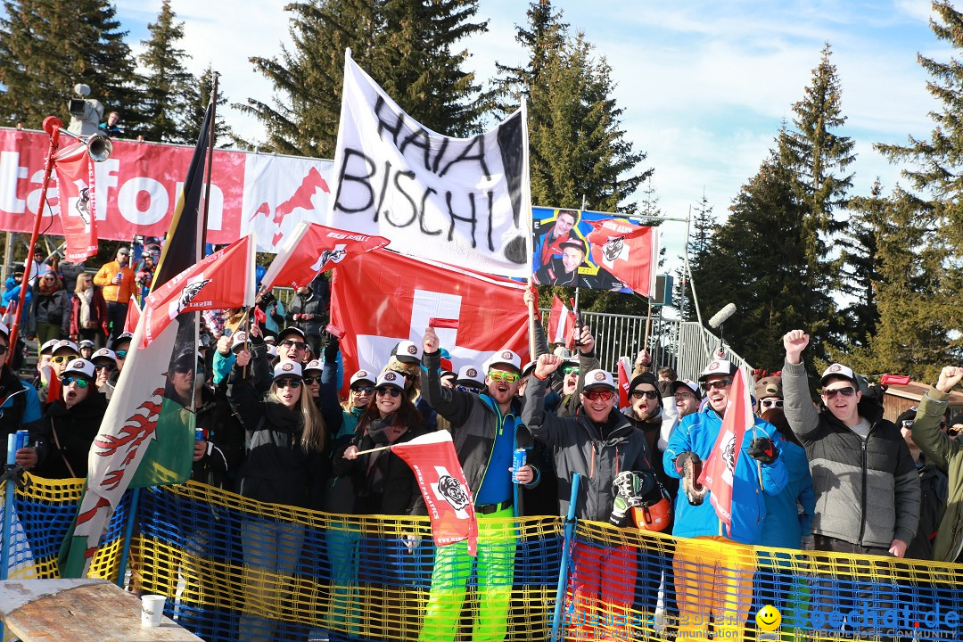 Finale Audi FIS Ski Cross Weltcup, Cross Alps Tour: Montafon, 17.12.2016