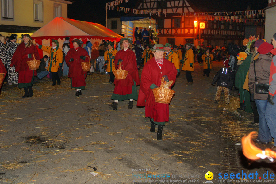 Narrentreffen in Eigeltingen, 22.01.2010