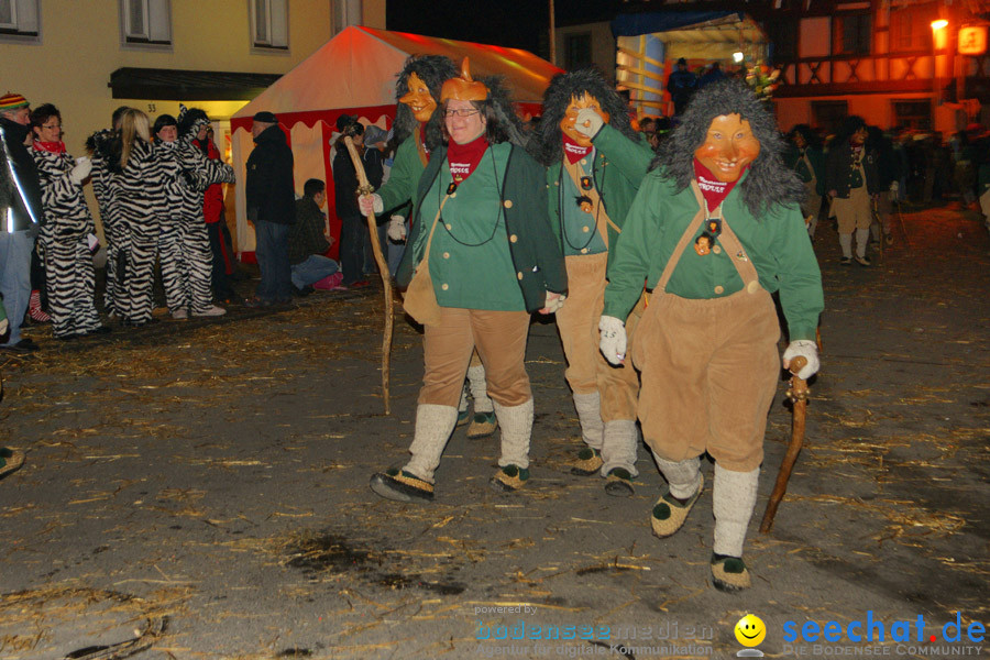 Narrentreffen in Eigeltingen, 22.01.2010