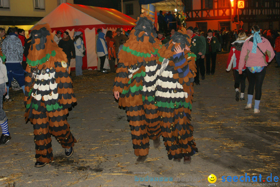 Narrentreffen in Eigeltingen, 22.01.2010