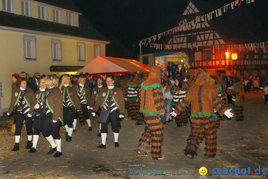 Narrentreffen in Eigeltingen, 22.01.2010