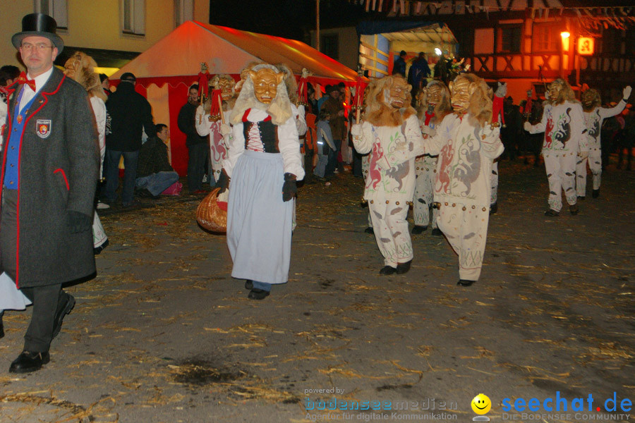 Narrentreffen in Eigeltingen, 22.01.2010