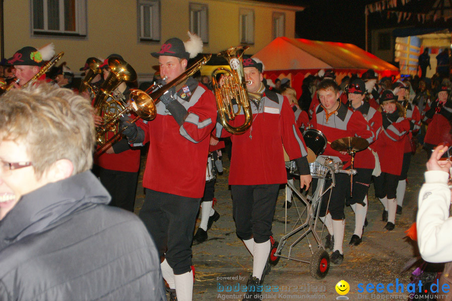 Narrentreffen in Eigeltingen, 22.01.2010