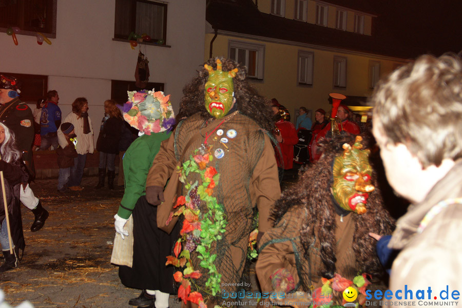 Narrentreffen in Eigeltingen, 22.01.2010