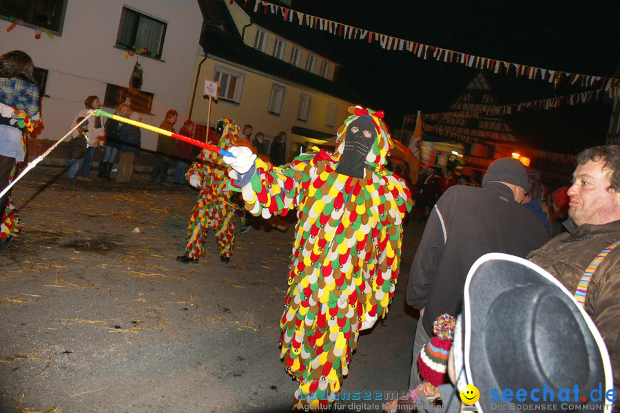 Narrentreffen in Eigeltingen, 22.01.2010