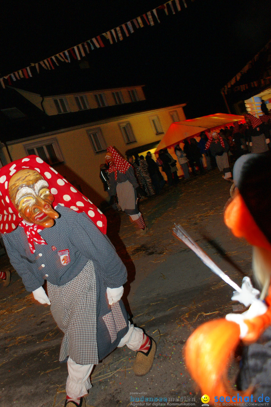 Narrentreffen in Eigeltingen, 22.01.2010