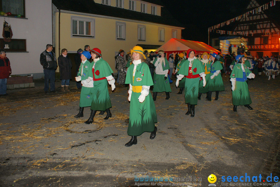 Narrentreffen in Eigeltingen, 22.01.2010