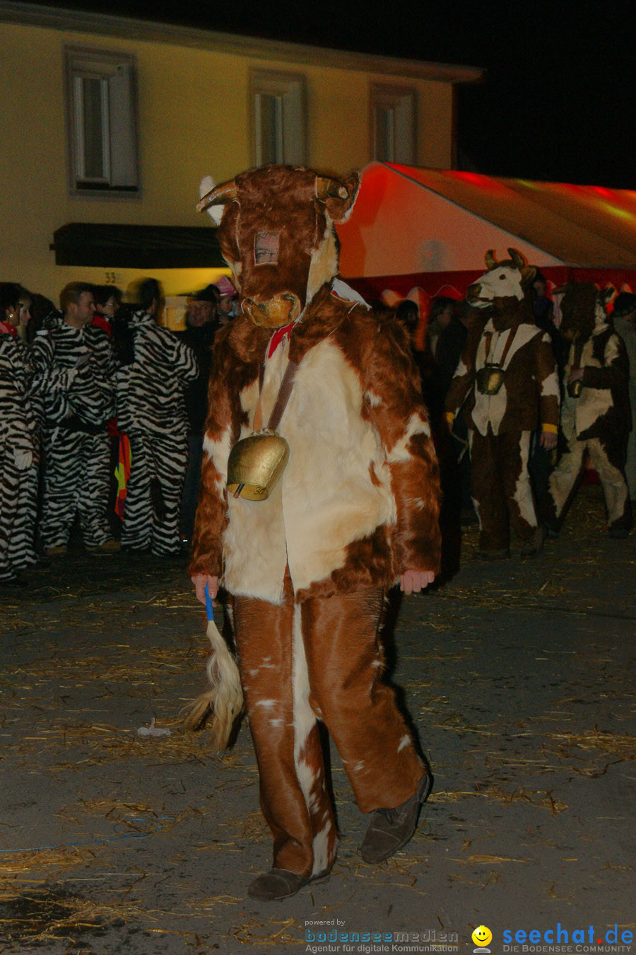 Narrentreffen in Eigeltingen, 22.01.2010