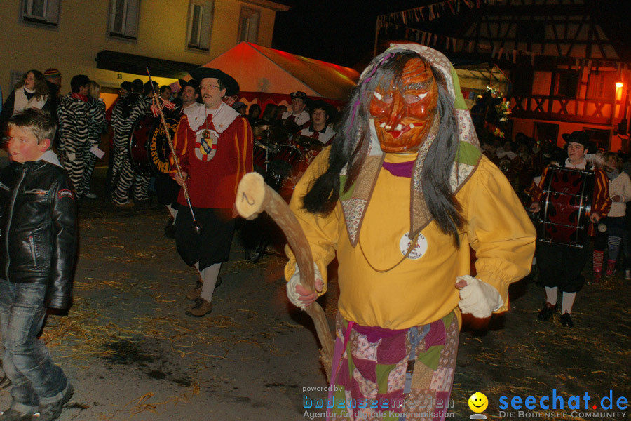 Narrentreffen in Eigeltingen, 22.01.2010