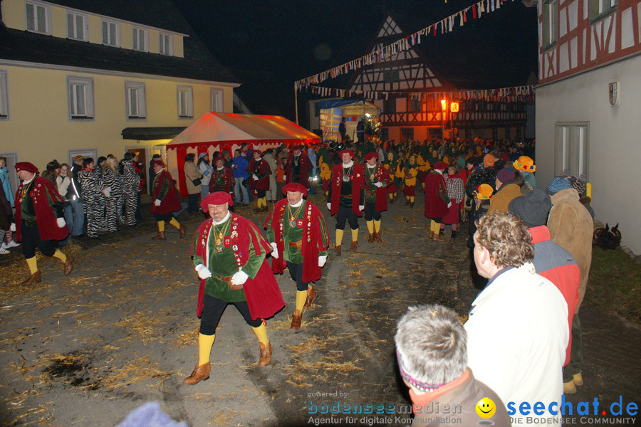 Narrentreffen in Eigeltingen, 22.01.2010