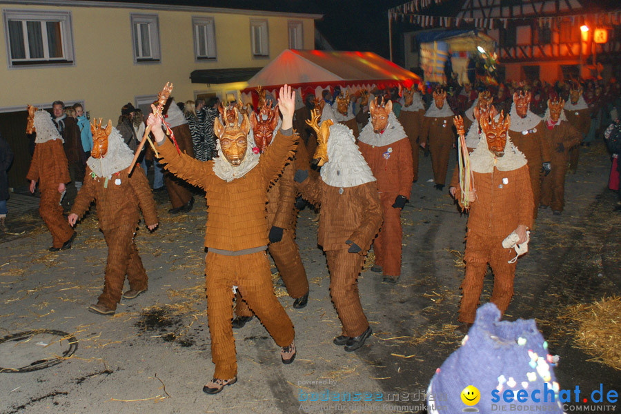 Narrentreffen in Eigeltingen, 22.01.2010