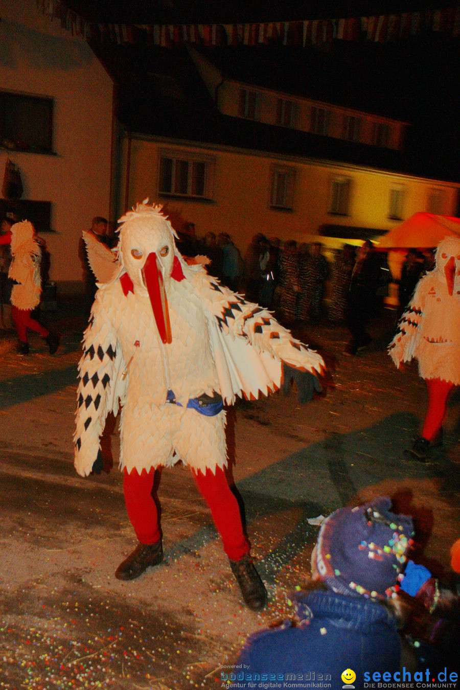 Narrentreffen in Eigeltingen, 22.01.2010