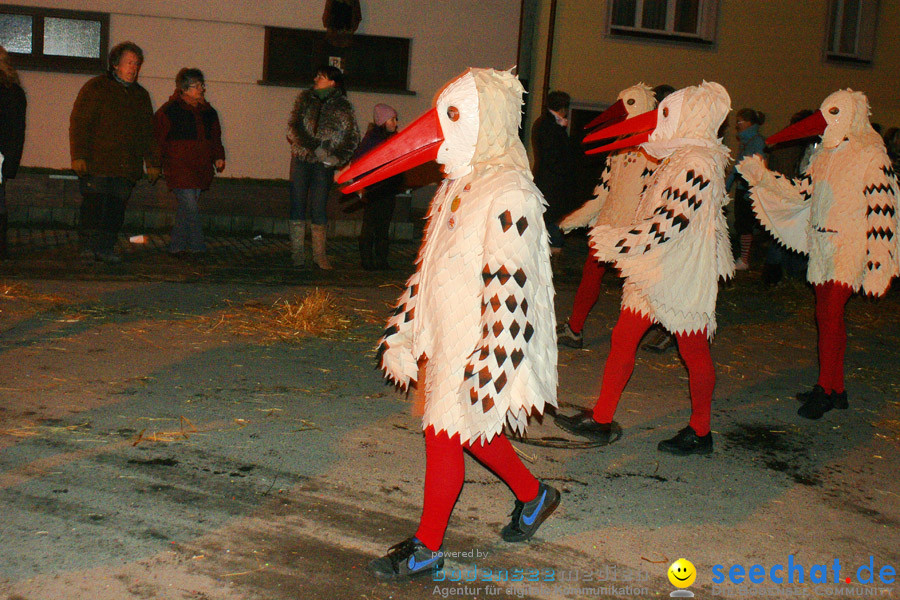 Narrentreffen in Eigeltingen, 22.01.2010