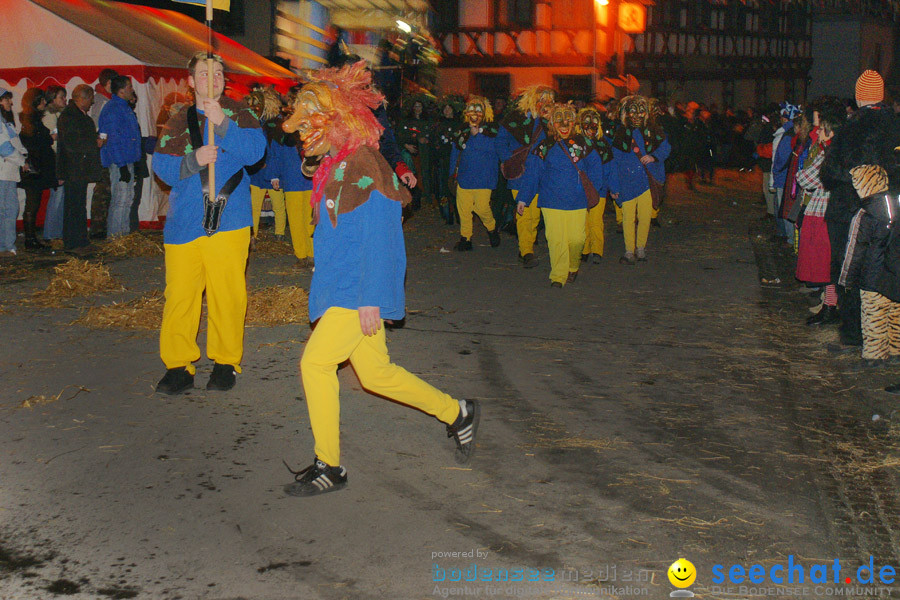 Narrentreffen in Eigeltingen, 22.01.2010