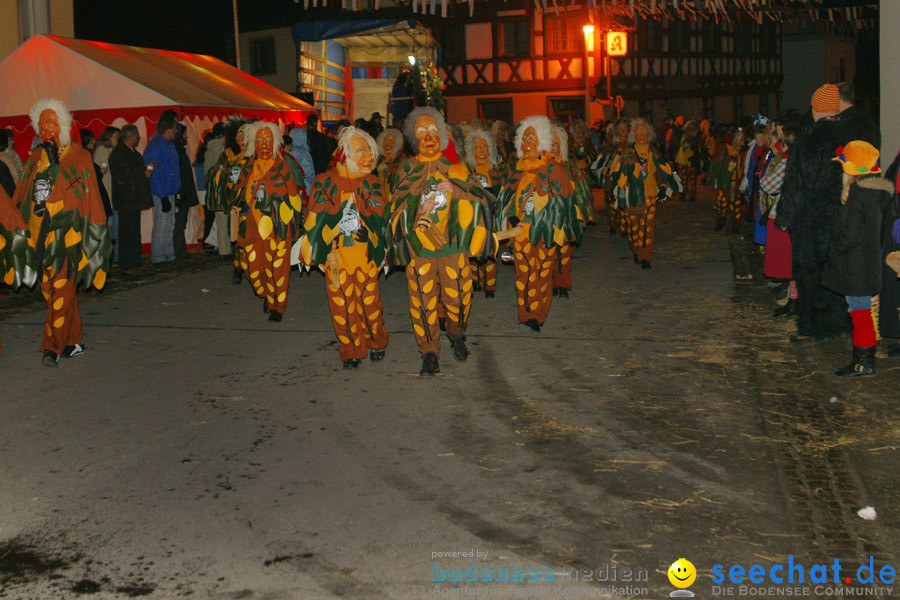 Narrentreffen in Eigeltingen, 22.01.2010