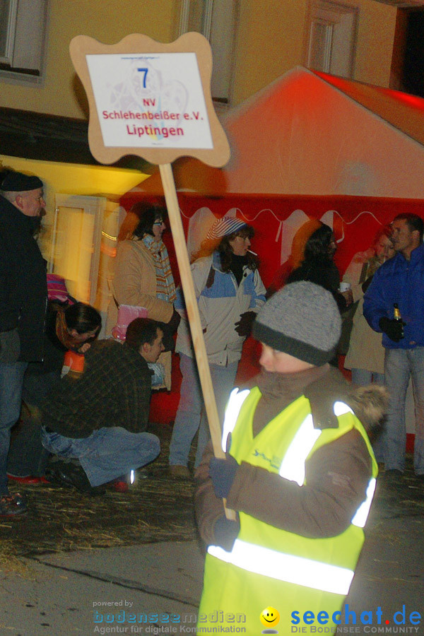 Narrentreffen in Eigeltingen, 22.01.2010