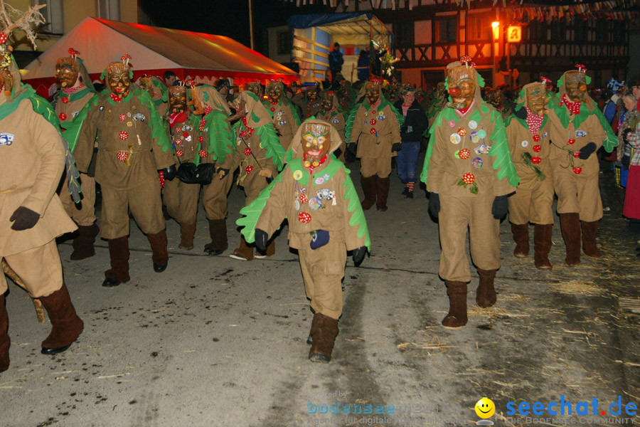 Narrentreffen in Eigeltingen, 22.01.2010