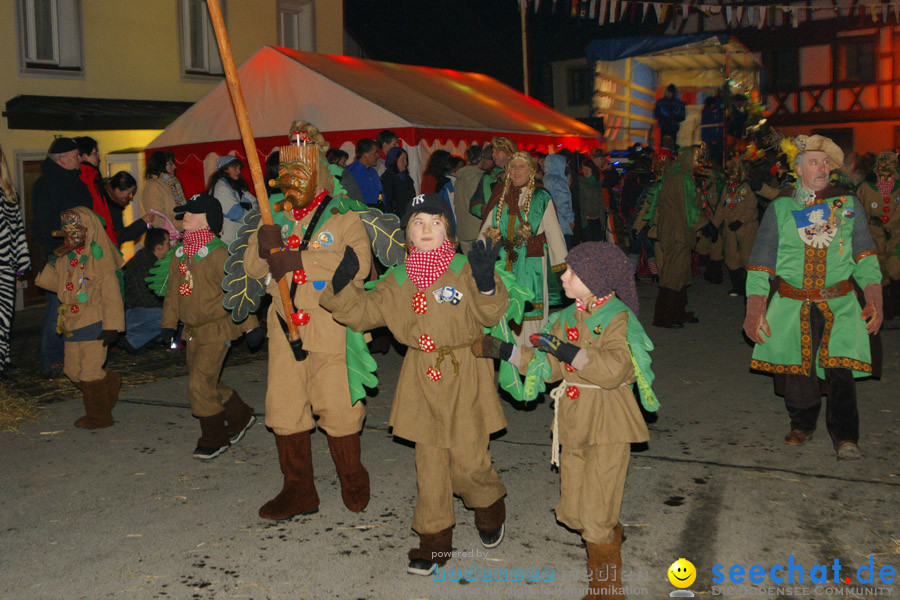 Narrentreffen in Eigeltingen, 22.01.2010