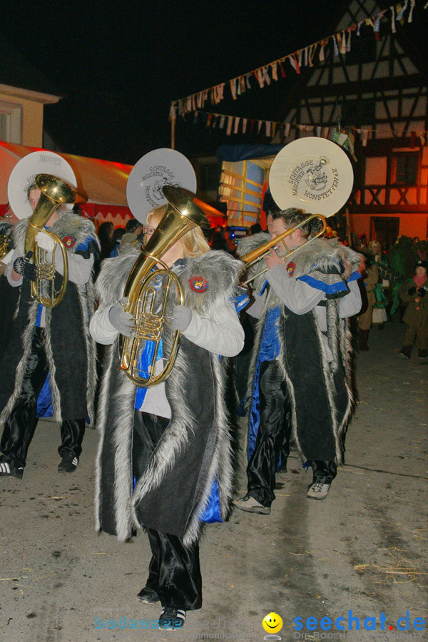 Narrentreffen in Eigeltingen, 22.01.2010