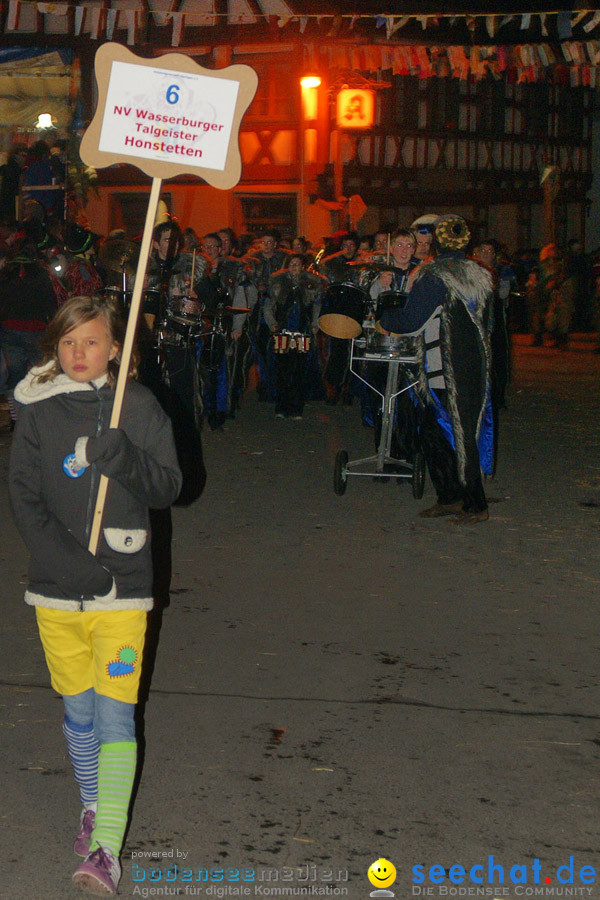 Narrentreffen in Eigeltingen, 22.01.2010