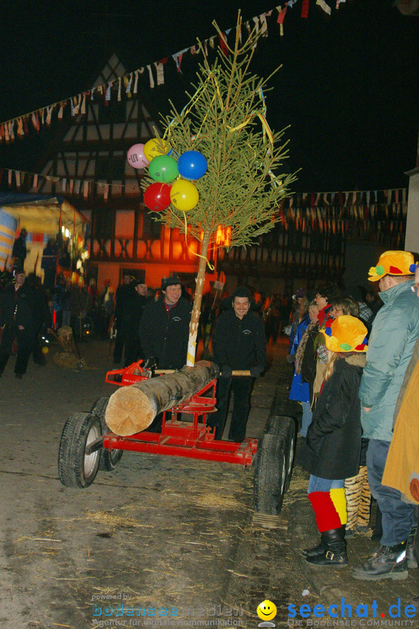 Narrentreffen in Eigeltingen, 22.01.2010