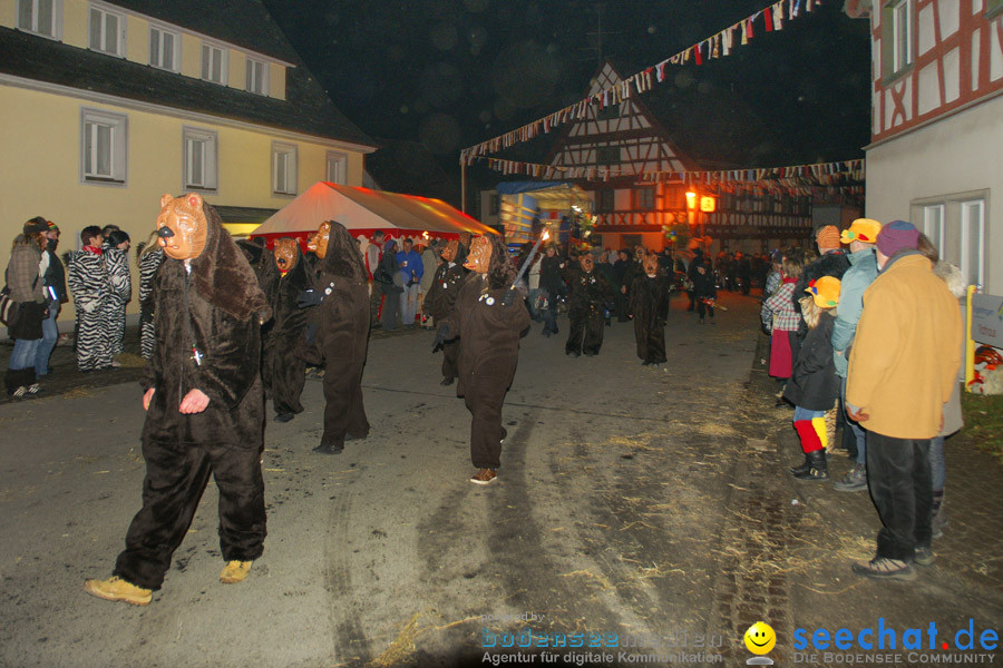 Narrentreffen in Eigeltingen, 22.01.2010