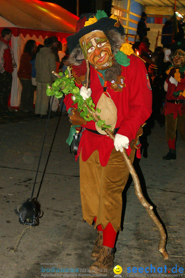 Narrentreffen in Eigeltingen, 22.01.2010