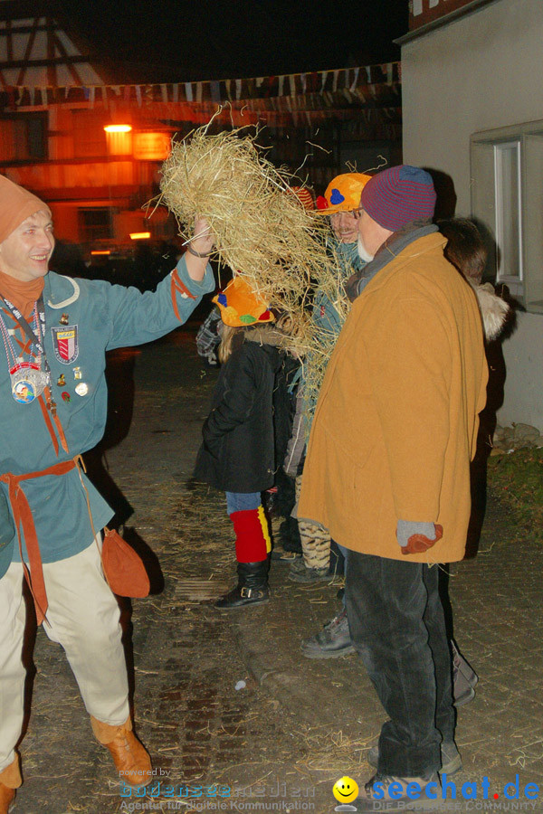 Narrentreffen in Eigeltingen, 22.01.2010