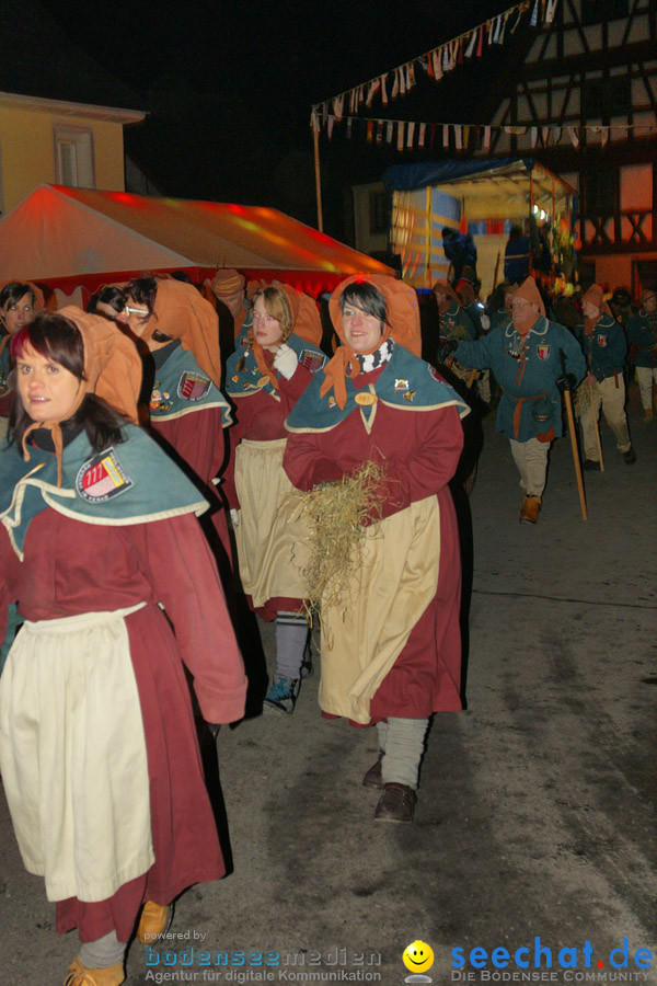 Narrentreffen in Eigeltingen, 22.01.2010