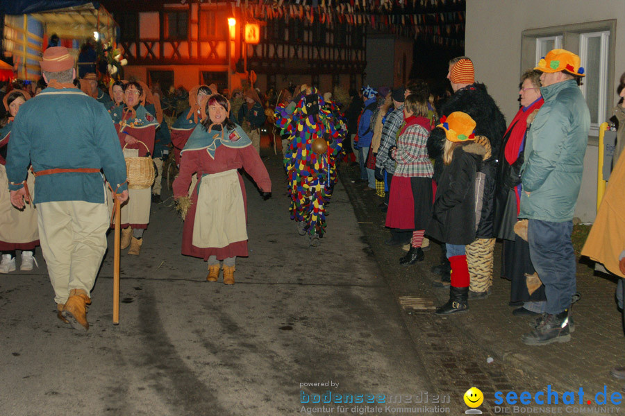 Narrentreffen in Eigeltingen, 22.01.2010