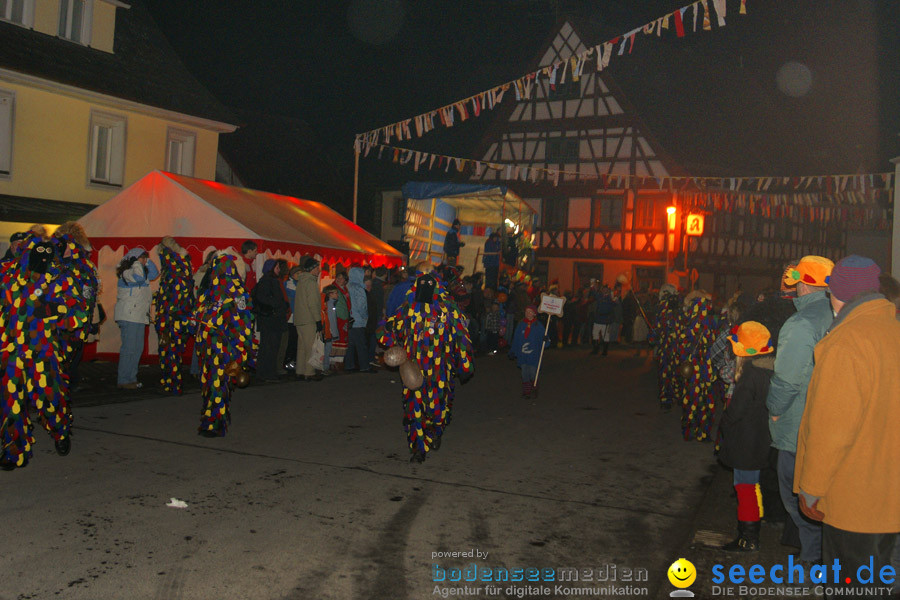 Narrentreffen in Eigeltingen, 22.01.2010