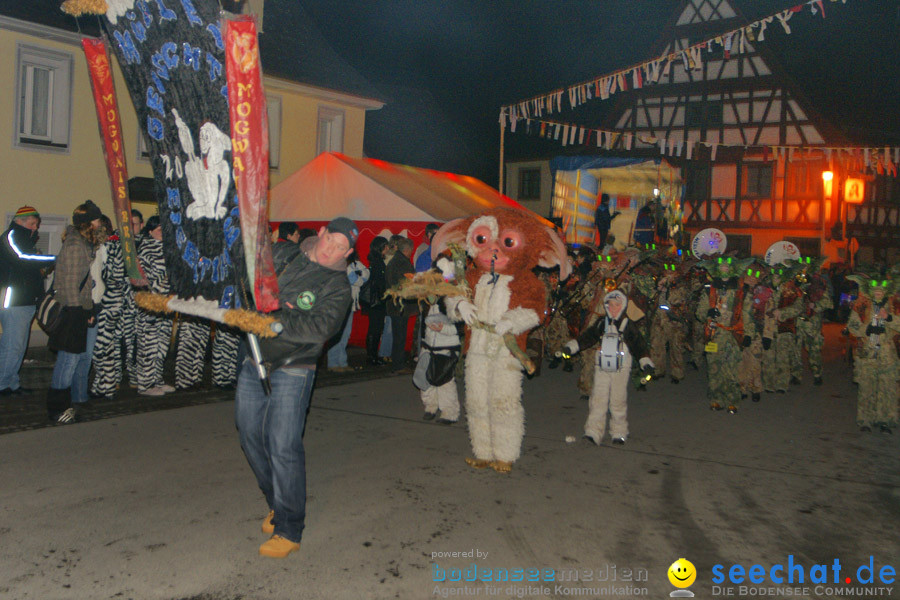 Narrentreffen in Eigeltingen, 22.01.2010