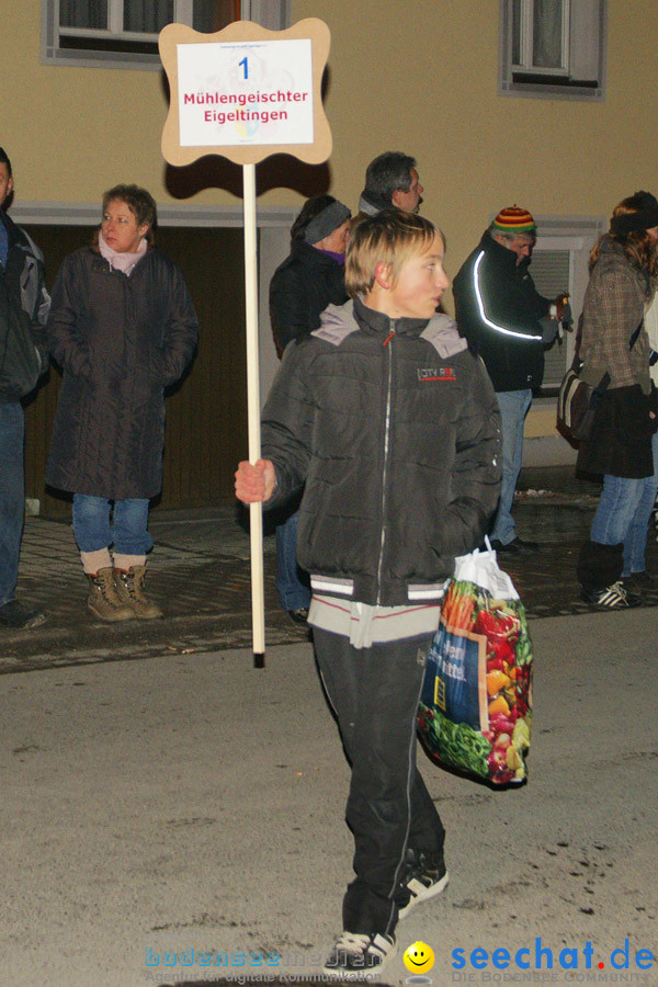 Narrentreffen in Eigeltingen, 22.01.2010