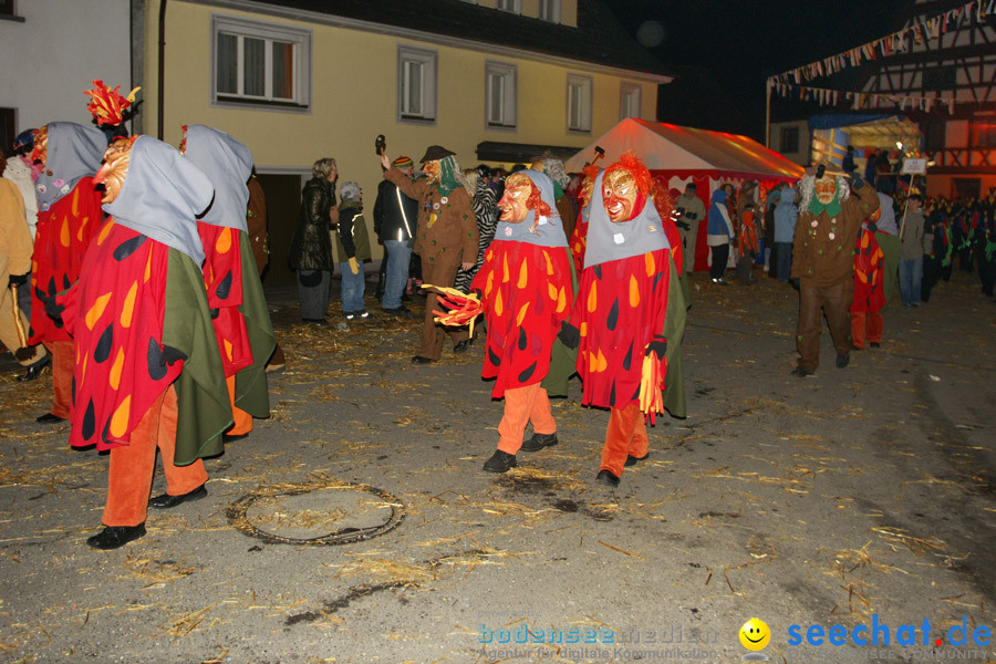 Narrentreffen in Eigeltingen, 22.01.2010