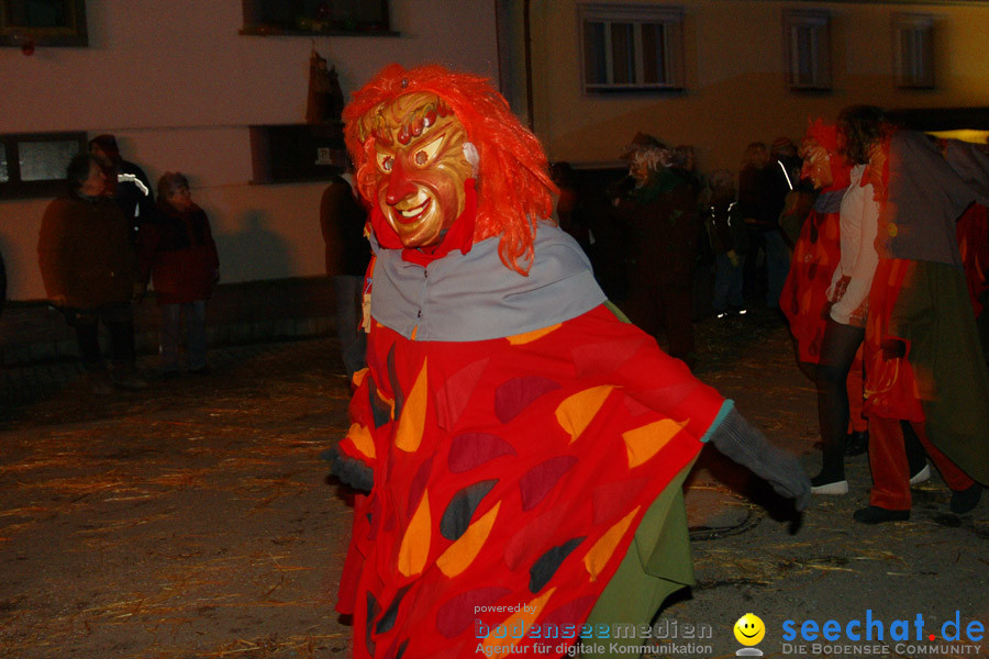 Narrentreffen in Eigeltingen, 22.01.2010