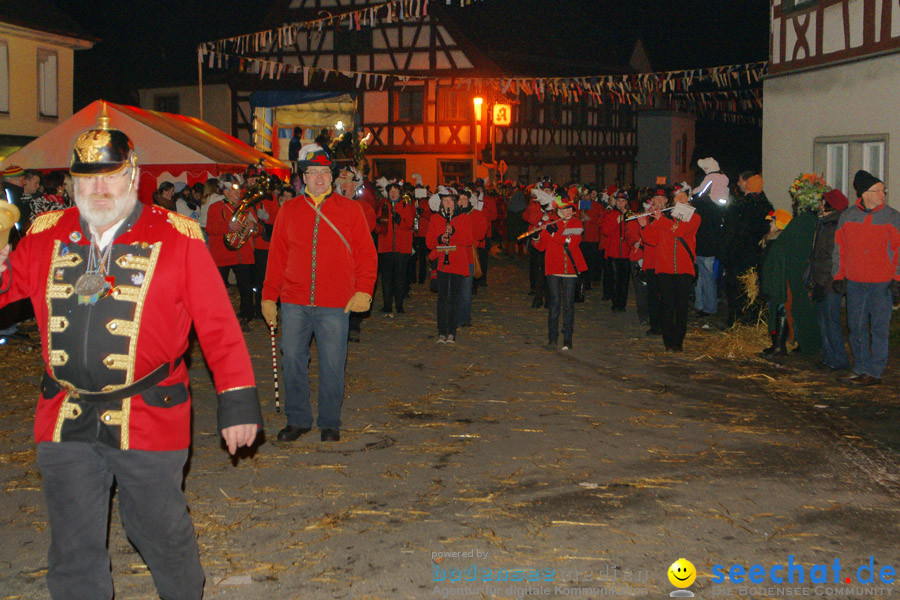 Narrentreffen in Eigeltingen, 22.01.2010