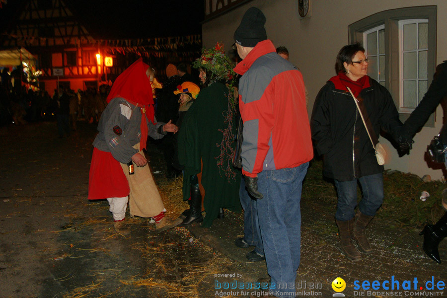 Narrentreffen in Eigeltingen, 22.01.2010