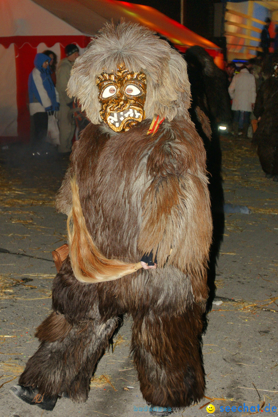 Narrentreffen in Eigeltingen, 22.01.2010