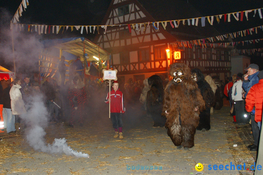 Narrentreffen in Eigeltingen, 22.01.2010