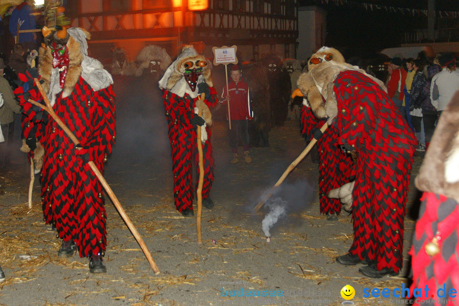 Narrentreffen in Eigeltingen, 22.01.2010