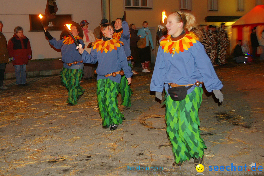 Narrentreffen in Eigeltingen, 22.01.2010