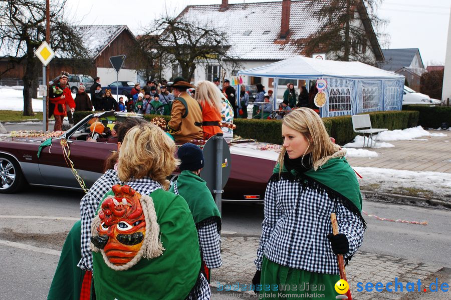 Faschingsumzug: Oberteuringen, 23.01.2010