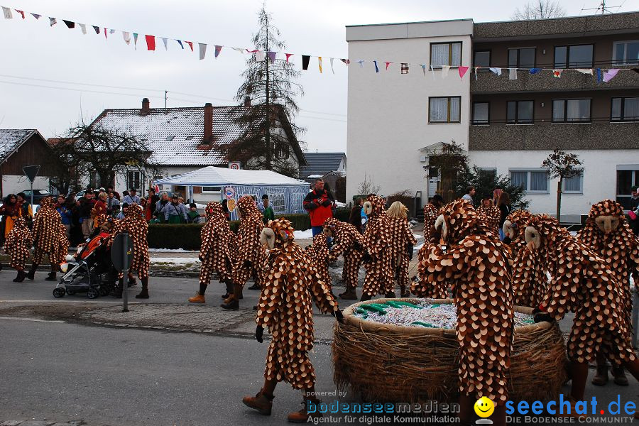 Faschingsumzug: Oberteuringen, 23.01.2010