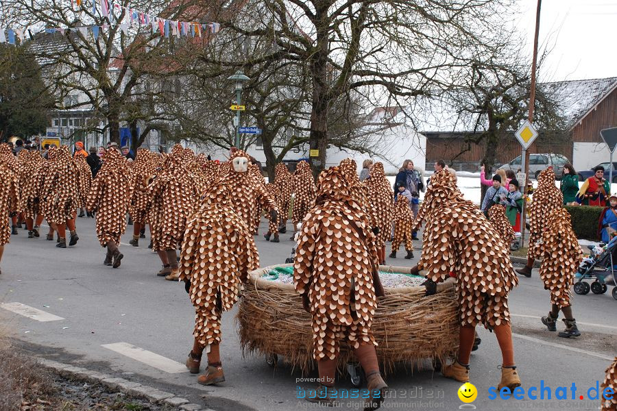 Faschingsumzug: Oberteuringen, 23.01.2010