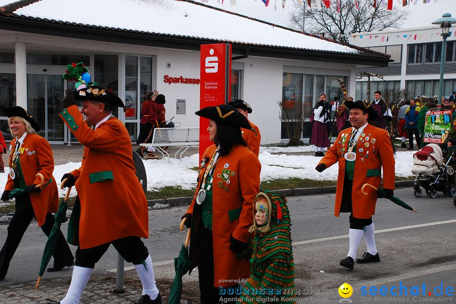 Faschingsumzug: Oberteuringen, 23.01.2010